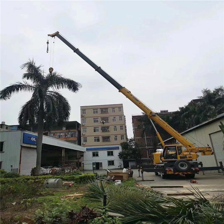 排浦镇汽车吊出租多少钱？全面解析与市场行情